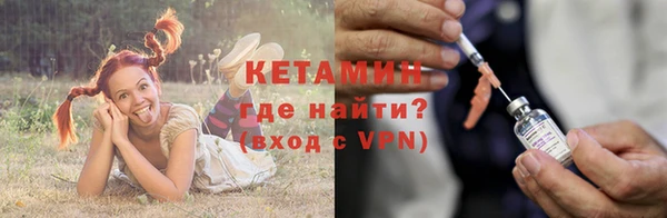 амф Заволжье