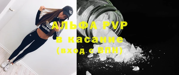 амф Заволжье